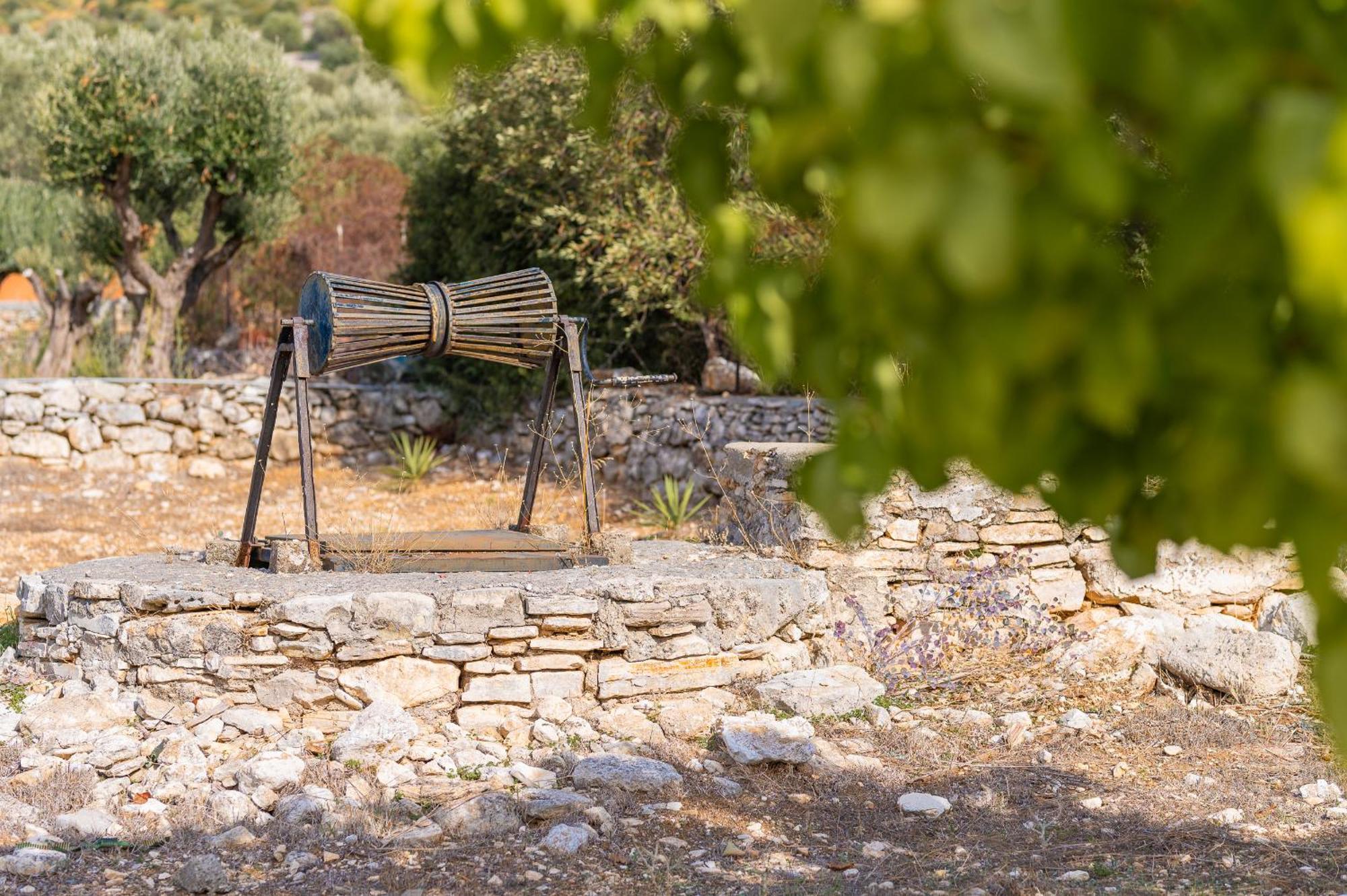 Ether Farmhouse Chora  Exterior foto
